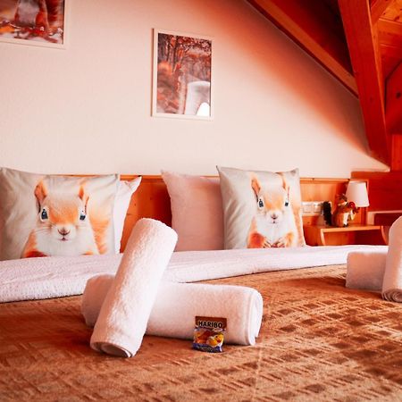 House Of Happiness By Apartmentglueck Schluchsee Buitenkant foto