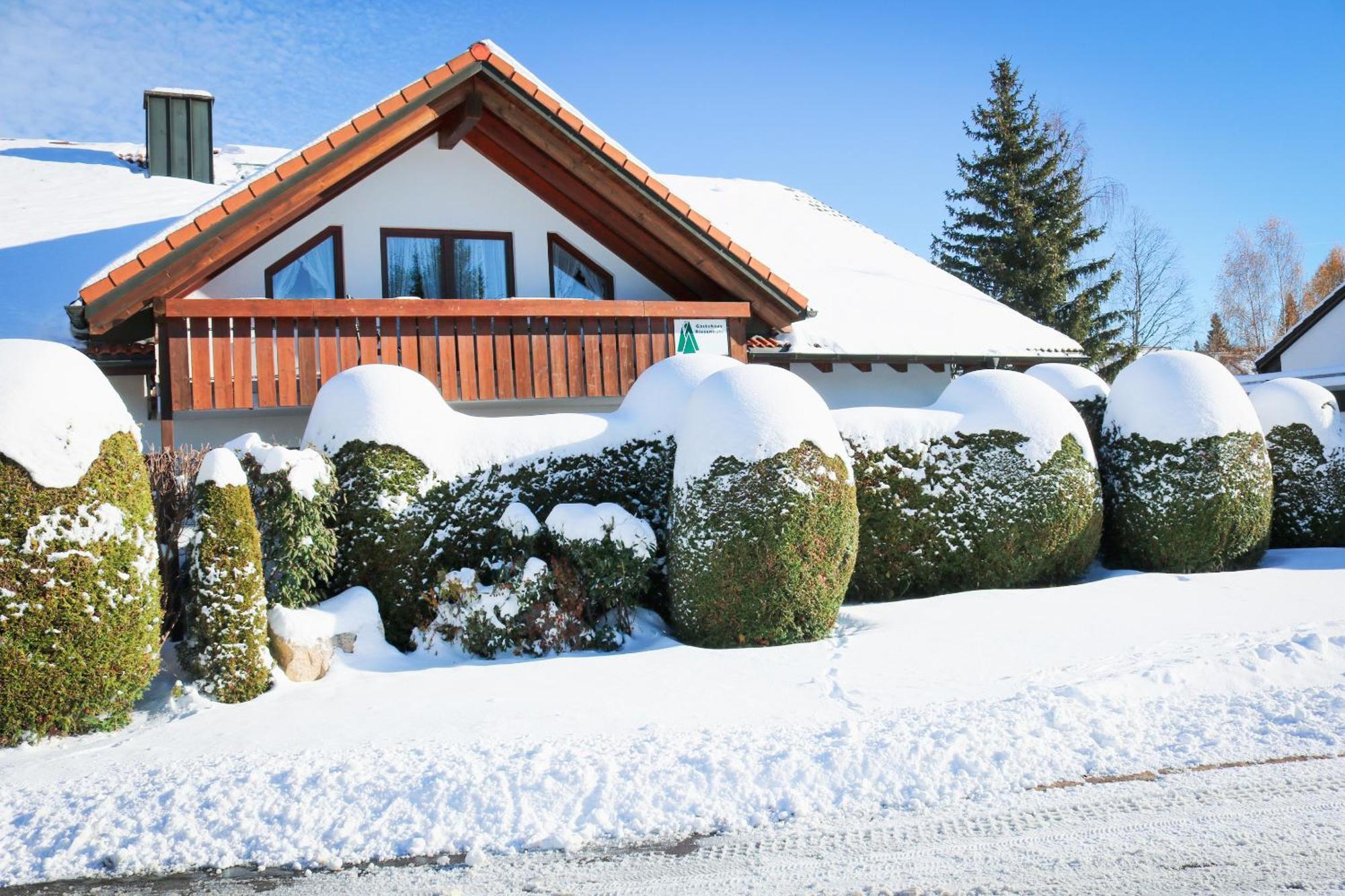 House Of Happiness By Apartmentglueck Schluchsee Buitenkant foto